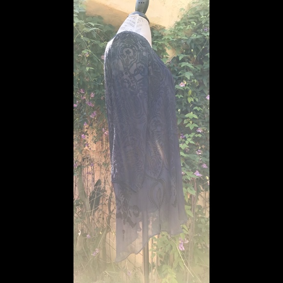 Calypso St. Barth Burnout Silk Diaphanous Tunic w/ Ann Taylor Undershirt… - Picture 3 of 9